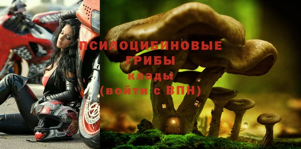 винт Алексеевка