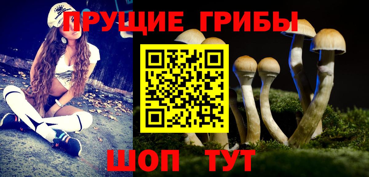 Псилоцибиновые грибы ЛСД  Вход с VPN  Псилоцибиновые грибы мицелий  Дедовск 
