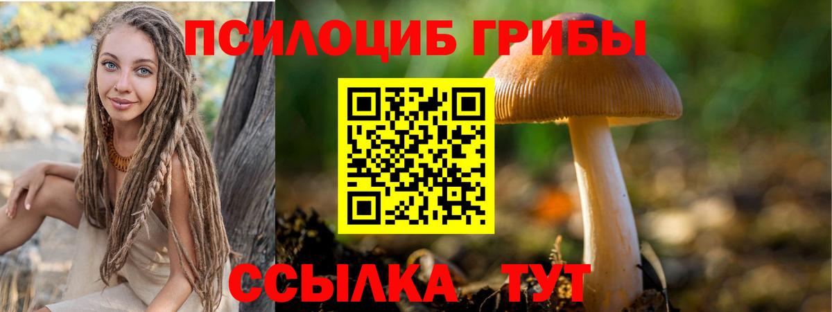 Галлюциногенные грибы MAGIC MUSHROOMS Дедовск